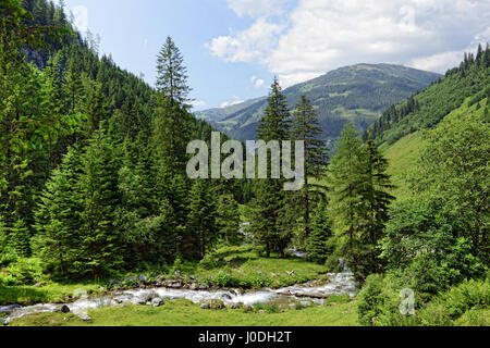 Alpes paysage de vallée dans la Zillertal Schwarzachtal (Autriche). Ruisseau coule à travers la vallée Banque D'Images