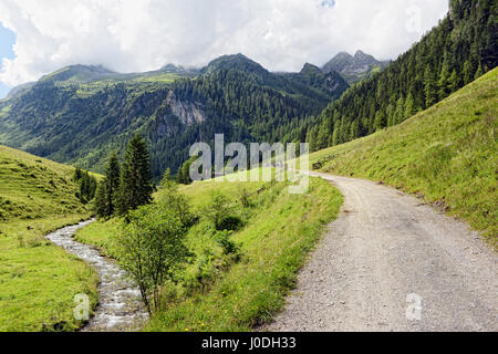 Alpes paysage de vallée dans la Zillertal Schwarzachtal (Autriche). Ruisseau coule à travers la vallée Banque D'Images