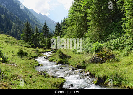 Alpes paysage de vallée dans la Zillertal Schwarzachtal (Autriche). Ruisseau coule à travers la vallée Banque D'Images