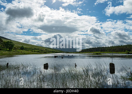 Errigal sur le Lough Nacung, inférieur, comté de Donegal, Irlande Banque D'Images