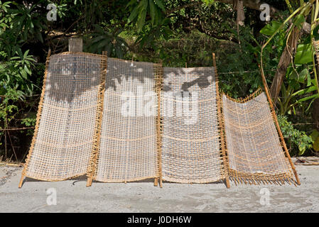 Vue horizontale de nouilles de riz blanc traditionnel sous forme de feuilles de sécher au soleil au Vietnam. Banque D'Images