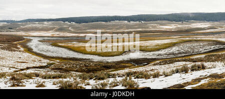 Hayden Valley en automne avec une neige légère couvrant autour de Yellowstone River, dans le Parc National de Yellowstone, Wyoming, USA Banque D'Images