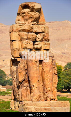 Colosses de Memnon sont deux gigantesques statues de pierre représentant le Pharaon Amenhotep III Banque D'Images