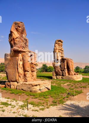 Colosses de Memnon sont deux gigantesques statues de pierre représentant le Pharaon Amenhotep III Banque D'Images