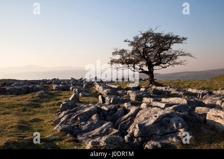 Ingleborough dans le Yorkshire Dales, vues du Winskill Pierres, Yorkshire du Nord. Banque D'Images