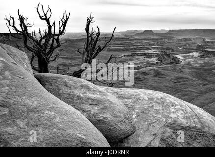 Canyonlands National Park au coucher du soleil ,Utah Banque D'Images