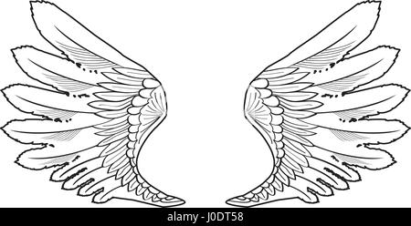 Vector illustration d'ange ou un oiseau icône ailes isolé sur fond blanc Illustration de Vecteur