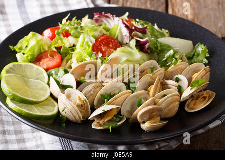 Palourdes délicieux avec une salade de légumes verts et mélanger sur une plaque horizontale. Banque D'Images