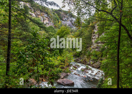 L'un des plus spectaculaires canyons de l'Est des États-Unis, est des Gorges de Tallulah deux milles de long et près de 1 000 pieds de profondeur. Banque D'Images
