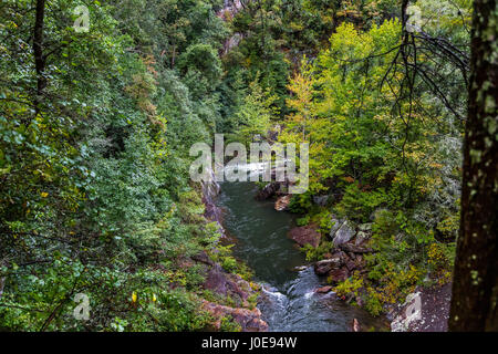 L'un des plus spectaculaires canyons de l'Est des États-Unis, est des Gorges de Tallulah deux milles de long et près de 1 000 pieds de profondeur. Banque D'Images