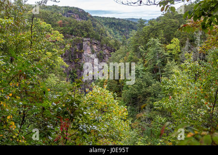 L'un des plus spectaculaires canyons de l'Est des États-Unis, est des Gorges de Tallulah deux milles de long et près de 1 000 pieds de profondeur. Banque D'Images
