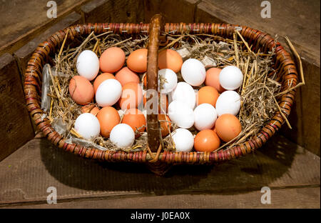 Oeufs brun et blanc couché sur la paille dans la panier en osier à vendre, Herten, Ruhr, Rhénanie du Nord-Westphalie, Allemagne Banque D'Images