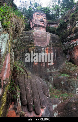 Le Grand Bouddha de Leshan est une 71 mètres, 233 ft grands statue en pierre. Construit entre 713 et 803 durant la dynastie Tang. Il est taillé dans une falaise t Banque D'Images