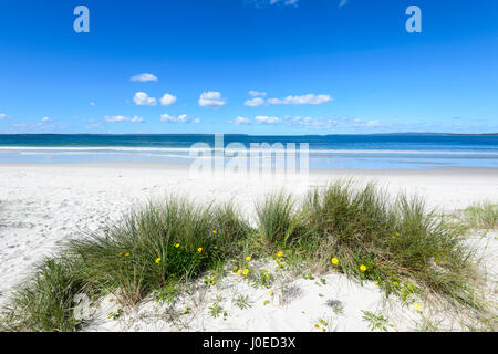 Vue sur Callala Beach, une plage de sable et plage déserte à Jervis bay, Côte Sud, New South Wales, NSW, Australie Banque D'Images