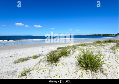 Avis de Myola Beach, une plage de sable et plage déserte avec fluffy clouds à Jervis bay, Côte Sud, New South Wales, NSW, Australie Banque D'Images