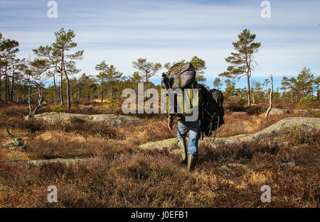 Homme adulte, homme fort de porter de lourds sacs à dos, photographe à pied dans la forêt norvégienne pour son prochain tournage. Banque D'Images