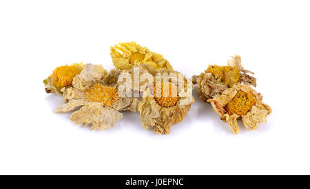 Fleurs de chrysanthème séchées isolé sur fond blanc. Banque D'Images