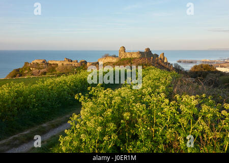 Ruines du château de Hastings au lever du soleil sur la colline du Château de la falaise surplombant la Manche, East Sussex, Angleterre, Royaume-Uni, Grande Bretagne, UK, FR Banque D'Images