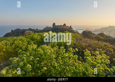 Vue sur les ruines du château de Hastings en haut de la falaise, sur Castle Hill, East Sussex, Angleterre, Royaume-Uni, GB, au printemps Banque D'Images