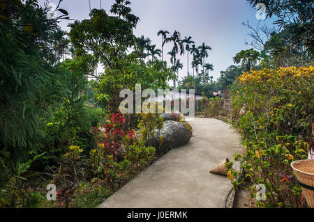 Dans mawlynnong route propre village, east Khasi Hills , meghalaya, en Inde, en Asie - 251745 RKM Banque D'Images