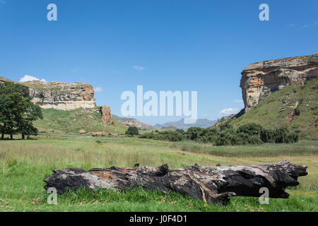 Contrefort Brandwag, Golden Gate Highlands National Park, la Province de l'État libre, République d'Afrique du Sud Banque D'Images