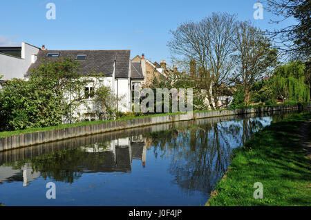 La New River près de Finsbury Park, au nord de Londres au Royaume-Uni, avec des maisons voisines Banque D'Images