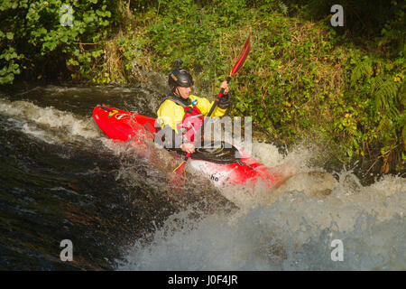 Kayakiste de mâles à travers rapides de pagayer sur la rivière à Tryweryn le National White Water Centre près de Bala dans le Nord du Pays de Galles Banque D'Images