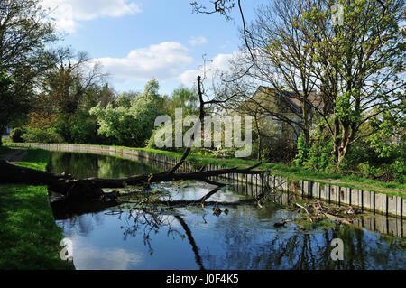 La New River près de Harringey Green Lanes et Finsbury Park, North London UK Banque D'Images