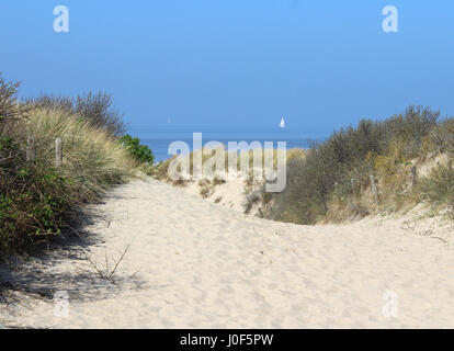 Dans les dunes de sable en direction de la plage de Renesse dans cette région dans l'extrême sud-ouest des Pays-Bas. Banque D'Images