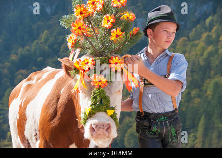 Jeune agriculteur, avec tête de vache la vache décoration faire former à l'automne de l'Saletal alm au décrochage accueil à Schoenau, Haute-Bavière Banque D'Images