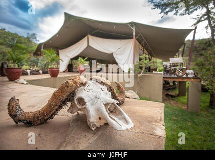 Entumoto Resort dans le parc national de Masai Mara, Kenya Banque D'Images