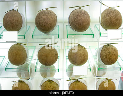 Les melons mûrs parfait à l'amende shop. C'est une coutume au Japon pour donner cher fruits aussi des cadeaux pour les occasions spéciales comme les mariages. Banque D'Images