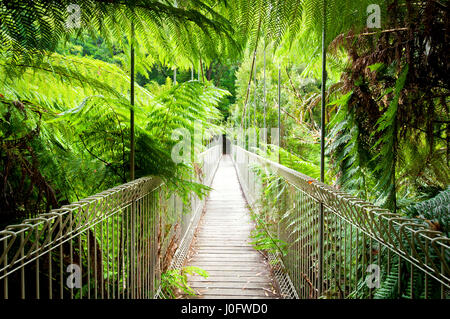 Corrigan Pont suspendu dans la forêt tropicale du Parc National de Tarra-Bulga. Banque D'Images