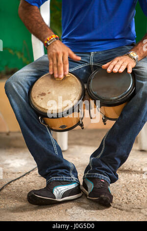 Bongo batteur, La Havane, Cuba Banque D'Images