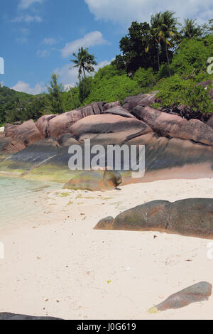 Île d'origine volcanique. Baie Lazare, Mahe, Seychelles Banque D'Images