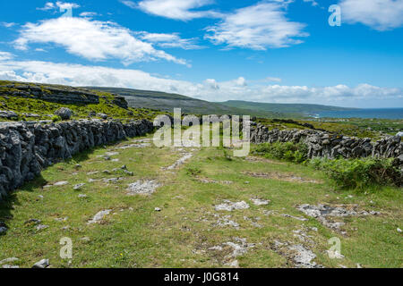 La vieille route verte autour de tête noire, près de Pont Fanore, le Burren, comté de Clare, Irlande Banque D'Images