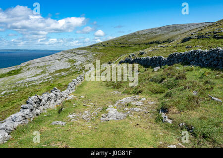 La vieille route verte autour de tête noire, près de Pont Fanore, le Burren, comté de Clare, Irlande Banque D'Images