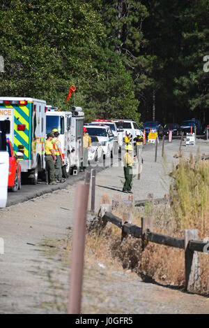 Opération de sauvetage d'un alpiniste tombé dans le Yosemite, California, United States Banque D'Images