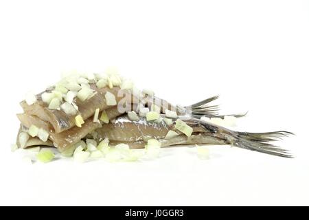 Soused herring isolé sur fond blanc Banque D'Images
