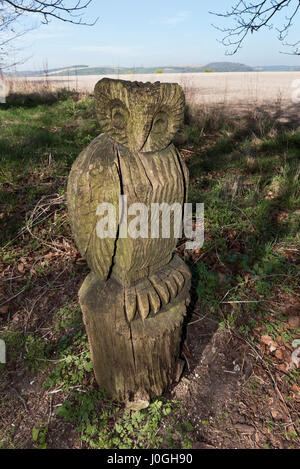 À partir de bois sculpté sculpture Owl à côté d'un sentier public près de East Meon, South Downs, Hampshire, Royaume-Uni Banque D'Images