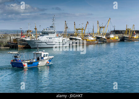 Port de pêche de Newlyn WH264 Prospecteur Harbour bateau de pêche bateau de pêche Bateaux de pêche Bateaux de pêche chalutiers à perche laissant harbour lié u Banque D'Images