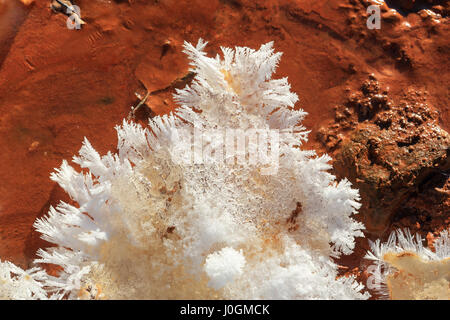 L'oxydation de l'eau Texture, narzans dans le Caucase du Nord, la Russie. Banque D'Images