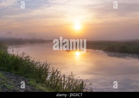 Lever du soleil paysage de parc national de Biebrza, Pologne. Banque D'Images