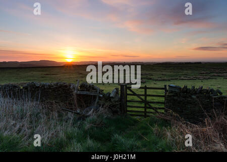 Teesdale, comté de Durham au Royaume-Uni. Jeudi 13 avril 2017. Météo britannique. Un froid de commencer la journée dans le Nord de l'Angleterre comme le soleil se levait sur la création d'un pilier de Sun dans le comté de Durham de Teesdale. Les prévisions sont pour le cloud pour développer au cours de la journée d'offrir la possibilité de la douche occasionnels au cours de l'après-midi. © David Forster/Alamy Live News. Banque D'Images