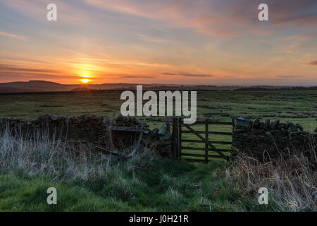 Teesdale, comté de Durham au Royaume-Uni. Jeudi 13 avril 2017. Météo britannique. Un froid de commencer la journée dans le Nord de l'Angleterre comme le soleil se levait sur la création d'un pilier de Sun dans le comté de Durham de Teesdale. Les prévisions sont pour le cloud pour développer au cours de la journée d'offrir la possibilité de la douche occasionnels au cours de l'après-midi. © David Forster/Alamy Live News. Banque D'Images