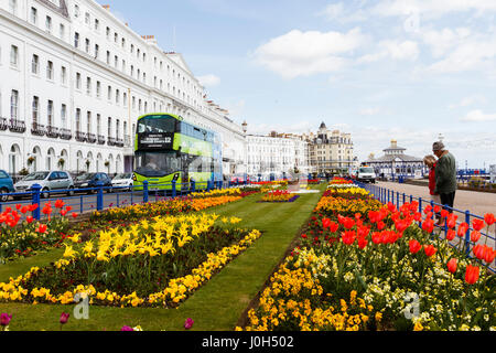 Eastbourne, Royaume-Uni. 13 avril 2017. Météo au Royaume-Uni. Les gens admirent les fleurs dans les jardins Carpet lors d'une matinée lumineuse mais trouble à Eastbourne, East Sussex, Royaume-Uni crédit: Ed Brown/Alay Live News Banque D'Images