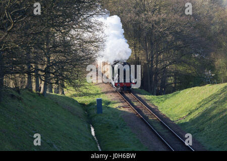 Sussex, UK. 13 avr, 2017. Flying Scotsman sur la ligne de chemin de fer Bluebell à Tree arch bridge près de Horsted Keynes Mid Sussex de l'Ouest, Sussex, au Royaume-Uni. 13 avr, 2017. Crédit : Brian Southam/Alamy Live News Banque D'Images