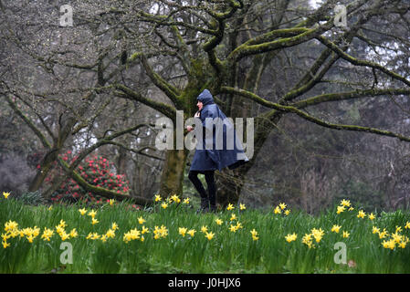 Photo météo Bute Park Cardiff Galles du Sud Banque D'Images