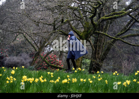 Photo météo Bute Park Cardiff Galles du Sud Banque D'Images