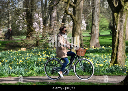 Photo météo Bute Park Cardiff Galles du Sud Banque D'Images